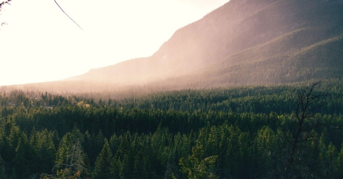 Neck Pain Relief in Southgate, Michigan: Chiropractic Care That Works